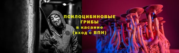 PSILOCYBIN Аркадак
