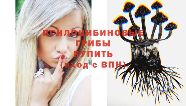 spice Алексин