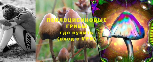 PSILOCYBIN Аркадак