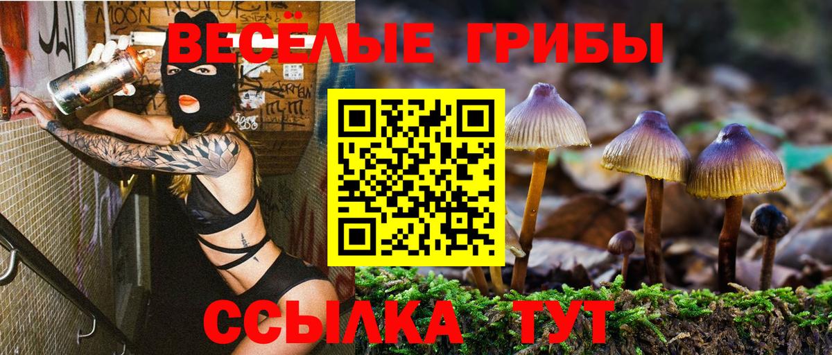 Псилоцибиновые грибы мицелий  Галлюциногенные грибы мухоморы  Вход с VPN  Одинцово 
